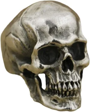 Awmnjtmgpw 925 Sterling Silver personage retro cracked Skull Ring men's unique design special ring size 6-10 (Size 10)